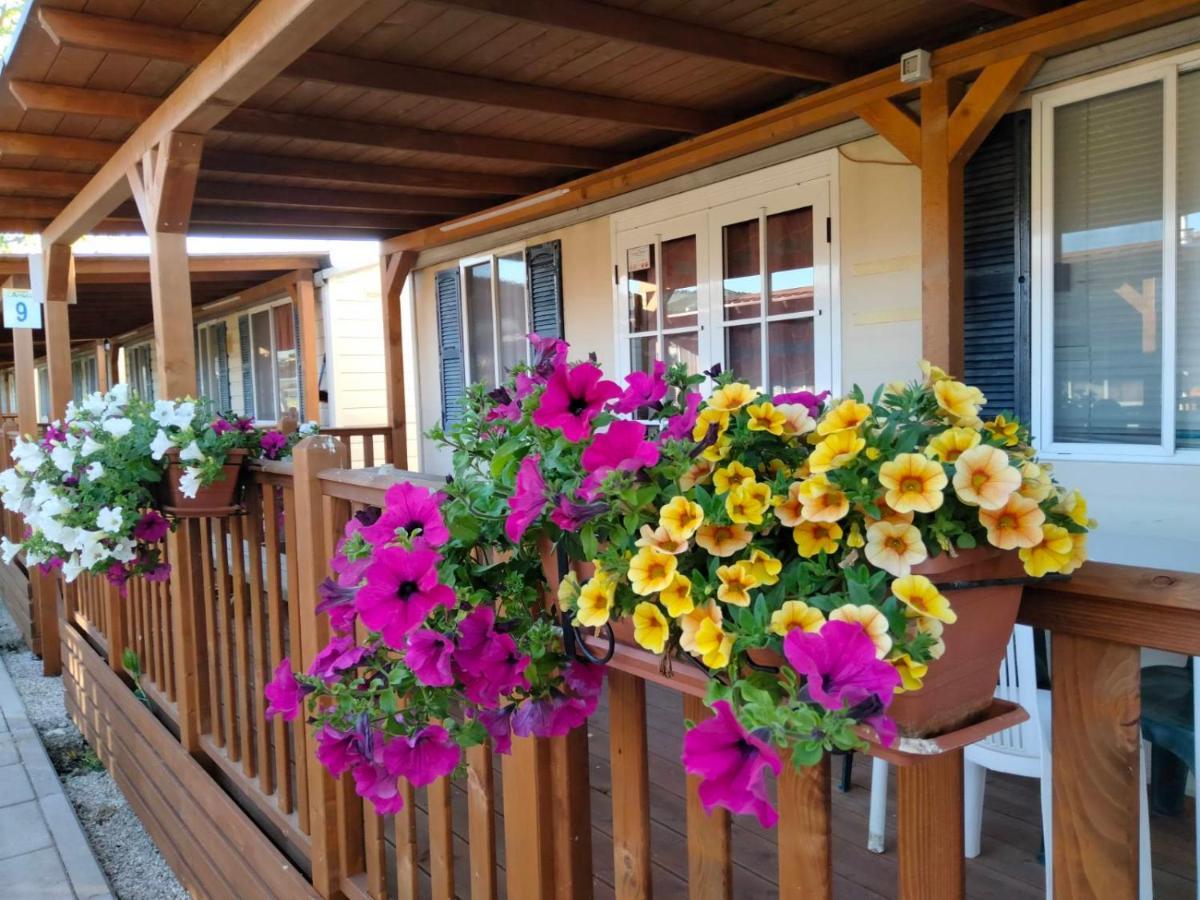 Villaggio Degli Angeli Scerne Pineto Εξωτερικό φωτογραφία
