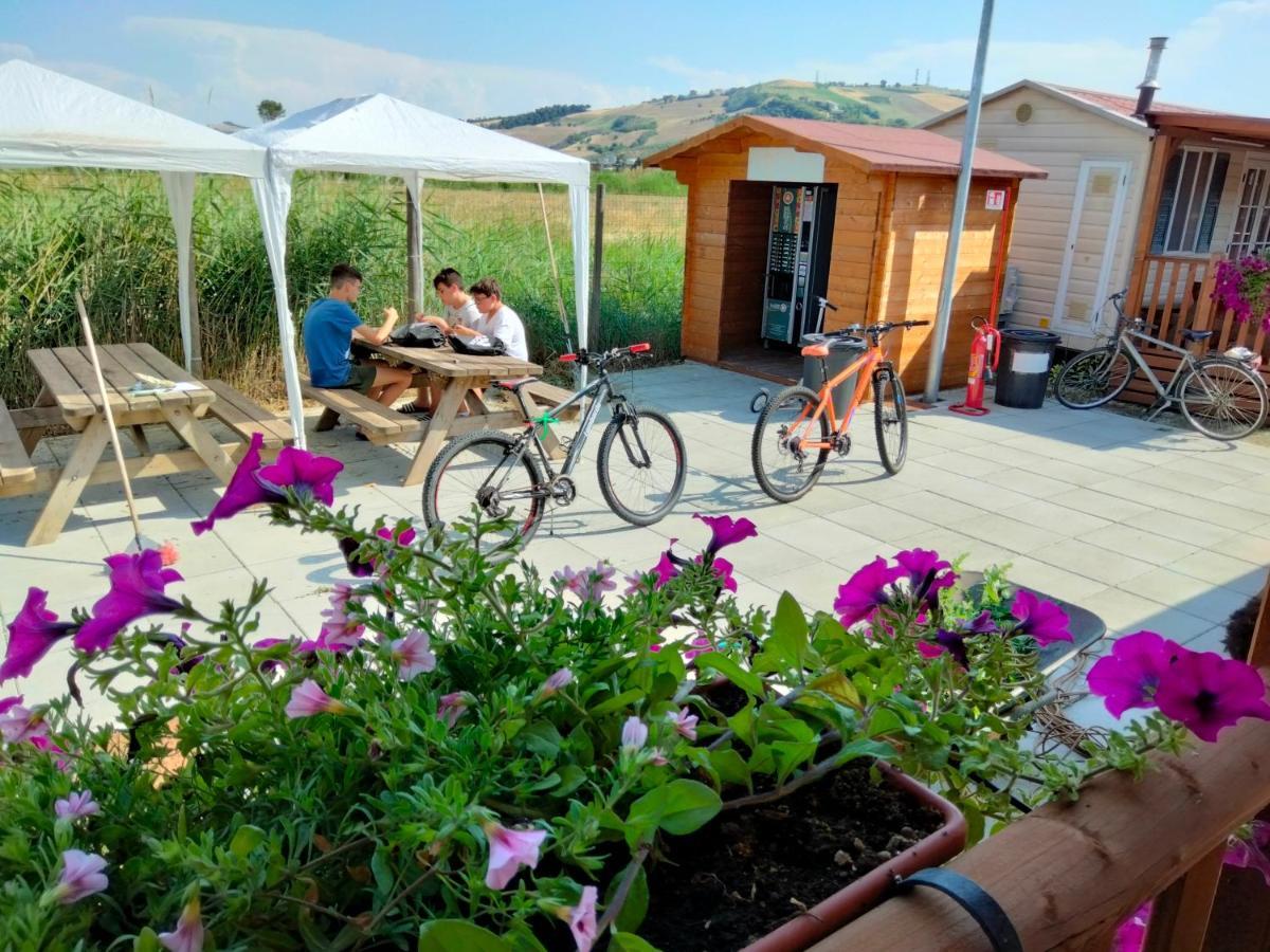 Villaggio Degli Angeli Scerne Pineto Εξωτερικό φωτογραφία
